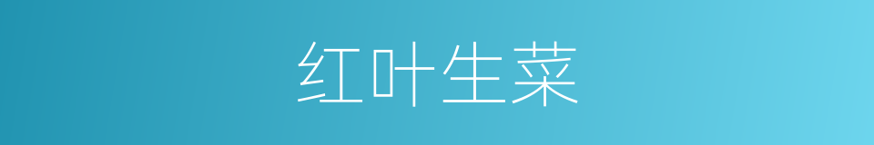 红叶生菜的同义词