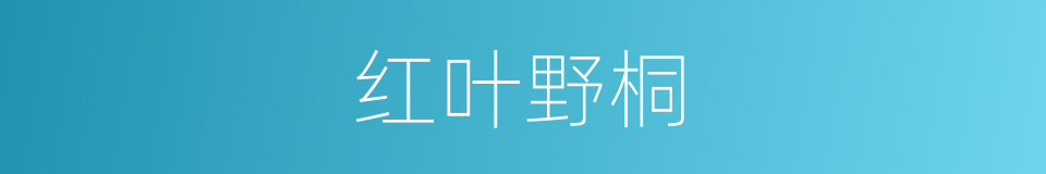 红叶野桐的同义词