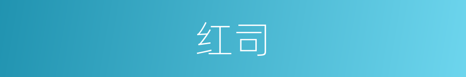 红司的同义词