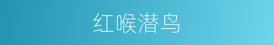 红喉潜鸟的同义词