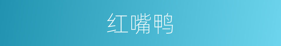 红嘴鸭的同义词