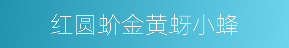 红圆蚧金黄蚜小蜂的同义词