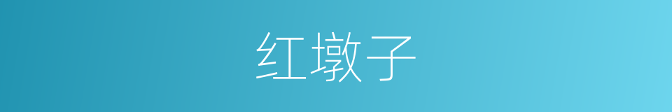 红墩子的同义词