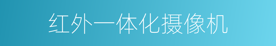 红外一体化摄像机的同义词