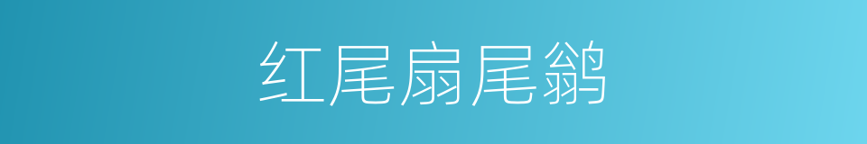 红尾扇尾鹟的同义词