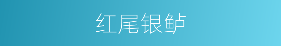 红尾银鲈的同义词