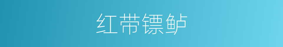 红带镖鲈的同义词