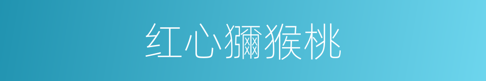 红心獼猴桃的同義詞