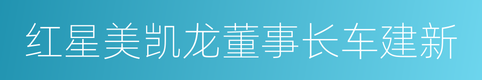 红星美凯龙董事长车建新的同义词