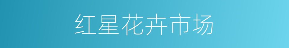 红星花卉市场的同义词