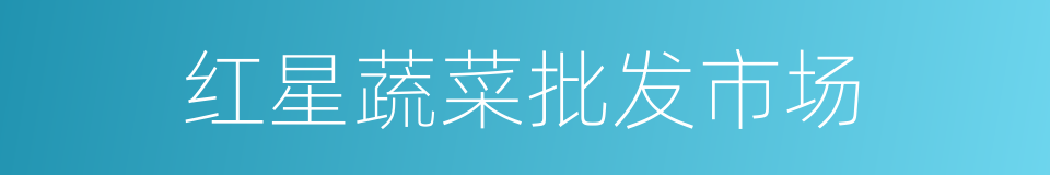 红星蔬菜批发市场的同义词