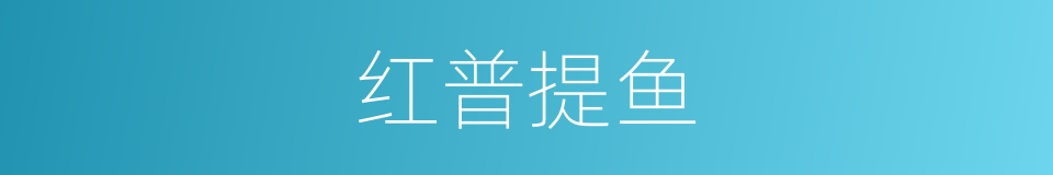 红普提鱼的同义词