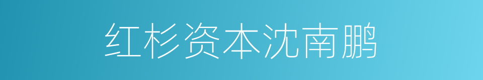 红杉资本沈南鹏的同义词