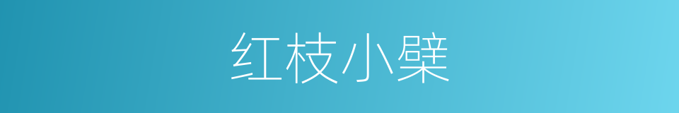 红枝小檗的同义词