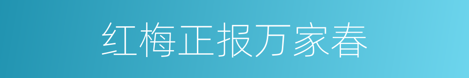 红梅正报万家春的同义词