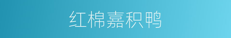 红棉嘉积鸭的同义词