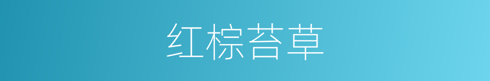 红棕苔草的同义词