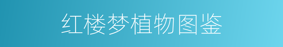 红楼梦植物图鉴的同义词
