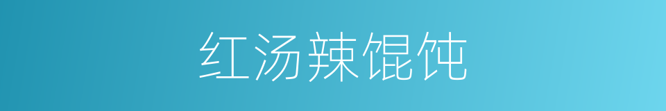 红汤辣馄饨的同义词