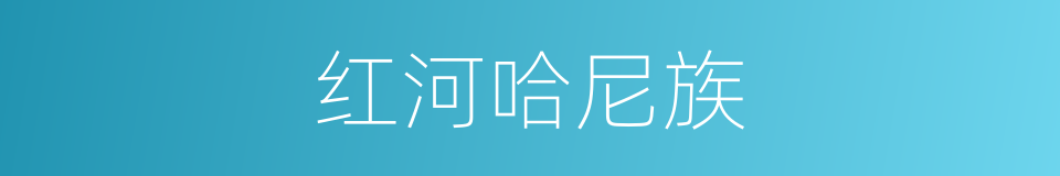 红河哈尼族的同义词