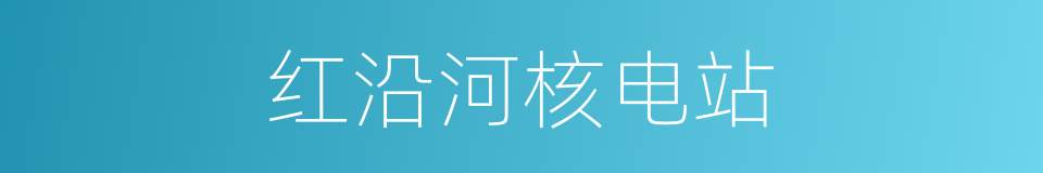 红沿河核电站的同义词