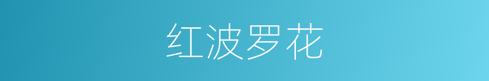 红波罗花的同义词