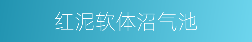 红泥软体沼气池的同义词