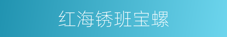 红海锈班宝螺的同义词