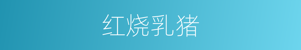 红烧乳猪的同义词