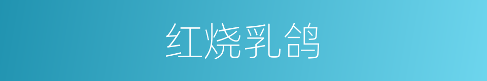 红烧乳鸽的同义词