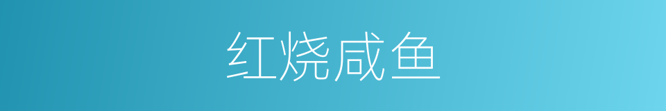 红烧咸鱼的同义词