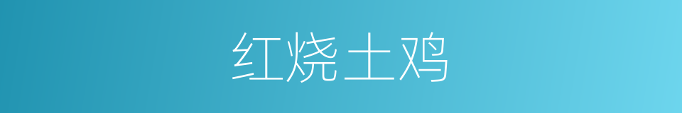 红烧土鸡的同义词