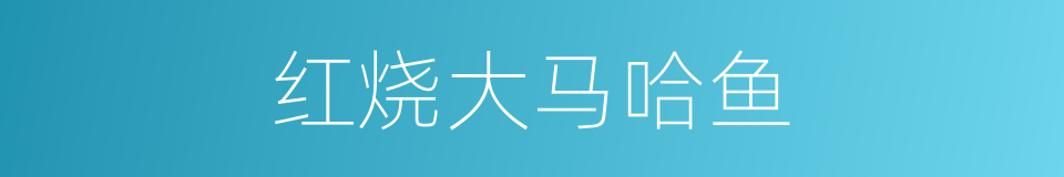 红烧大马哈鱼的同义词
