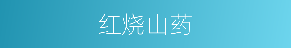 红烧山药的同义词