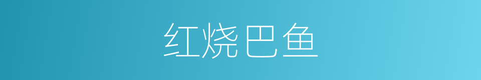 红烧巴鱼的同义词