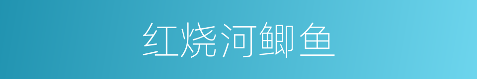红烧河鲫鱼的同义词