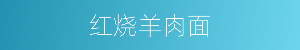 红烧羊肉面的同义词