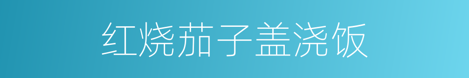 红烧茄子盖浇饭的同义词
