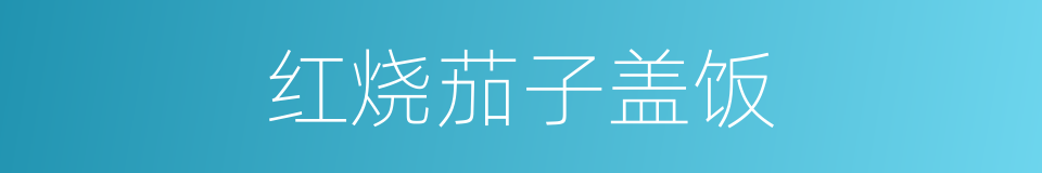 红烧茄子盖饭的同义词
