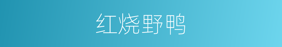 红烧野鸭的同义词