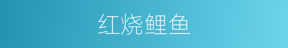 红烧鲤鱼的同义词