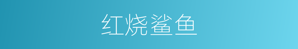 红烧鲨鱼的同义词