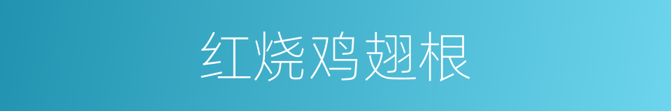红烧鸡翅根的同义词
