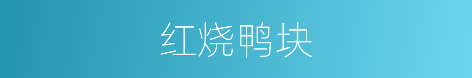 红烧鸭块的同义词