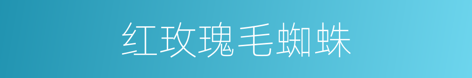 红玫瑰毛蜘蛛的同义词