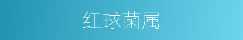 红球菌属的同义词
