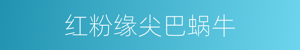 红粉缘尖巴蜗牛的同义词