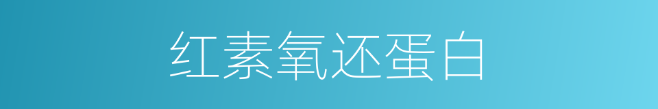 红素氧还蛋白的同义词