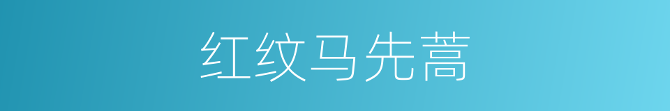 红纹马先蒿的同义词