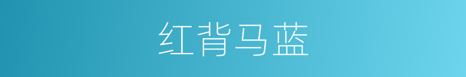 红背马蓝的同义词